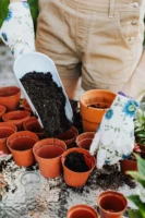 Close-up of soil being placed - Credits: pexels