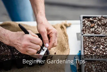 WARNING: Don’t start your garden until you read these 3 secrets!