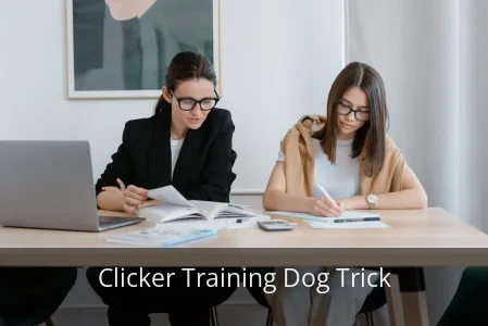 Is Your Dog Ignoring You? The ONE Clicker Trick That Changes EVERYTHING!