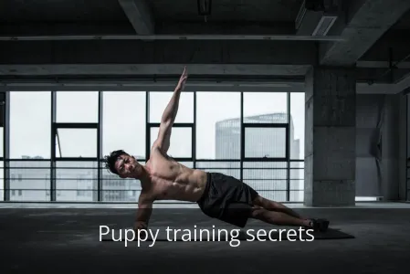 3 Puppy Training Secrets New Owners MUST Know (Avoid Lifelong Chaos!)